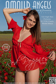 Beautiful teen girl gets naked in the poppy field and shows off her pretty tits and pussy.