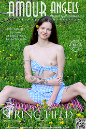 Lovely teen brunette gets naked on a green field and shows off her nice tits, ass and pussy